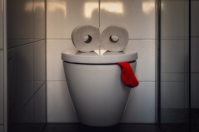 Funny picture of a toilet as reminder that contamination is part of being pure