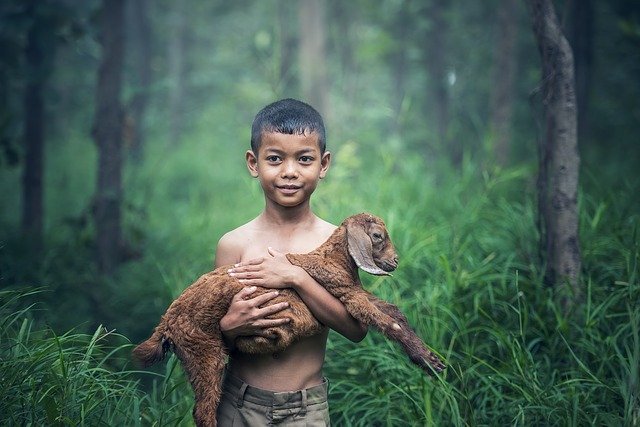 Young boy holding a lost lamb showing in his contented face how much he cares, which makes him highly intelligent.